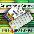 Anaconda Strong 11